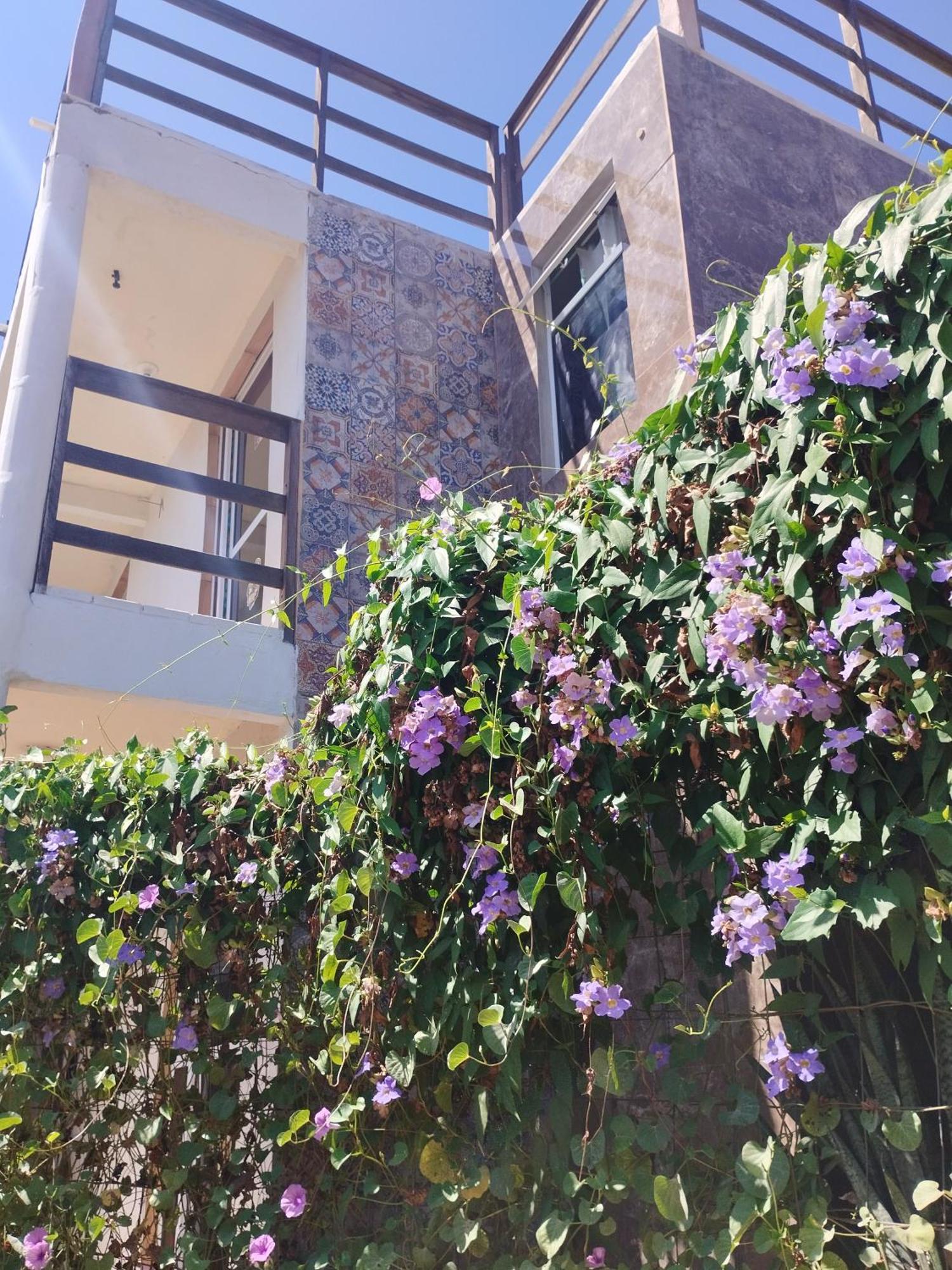 Seomarujo Rent A Room Morro Branco Beberibe Exterior foto